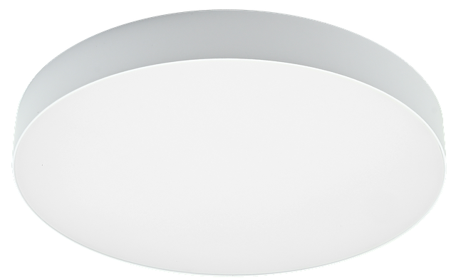 CL03-09-WH-3.png