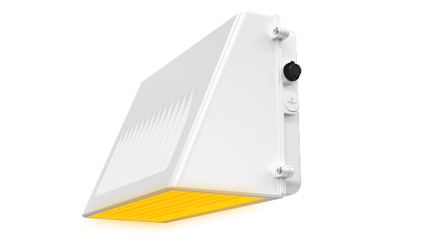 Amber WPD 125WS WC.png
