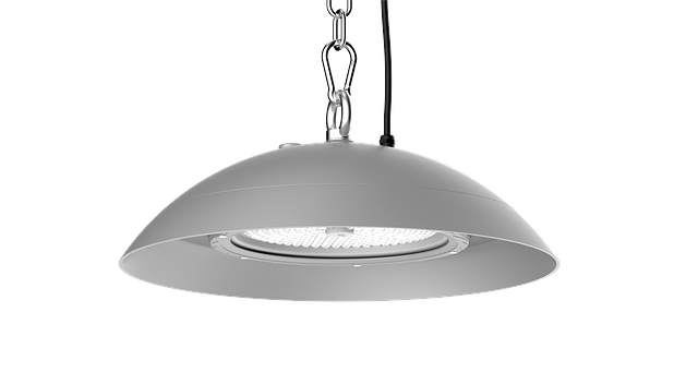 LLCLEAN WITH EYE BOLT LOOP MOUNT & SAFETY CHAIN WITH CORD.png