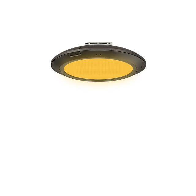 Amber PTA-SM DC - 副本.png