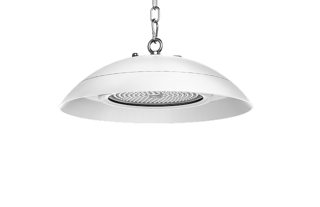 LLCLEAN WITH EYE BOLT LOOP MOUNT & SAFTEY CHAIN 3.png
