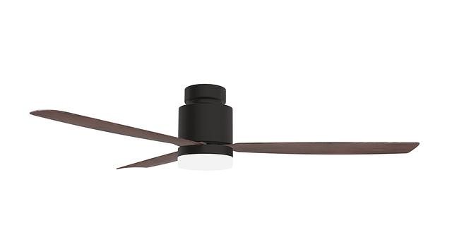 AUK-L-FM HBUM (Brown).jpg