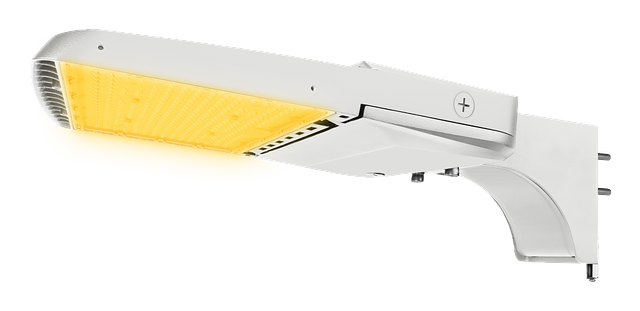 ALH Amber S WC Front Side - PA.png