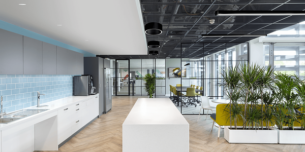 Office Breakroom and Meeting Space - Speak Downlight, Portal Pendant, and Profile Linear Luminaires