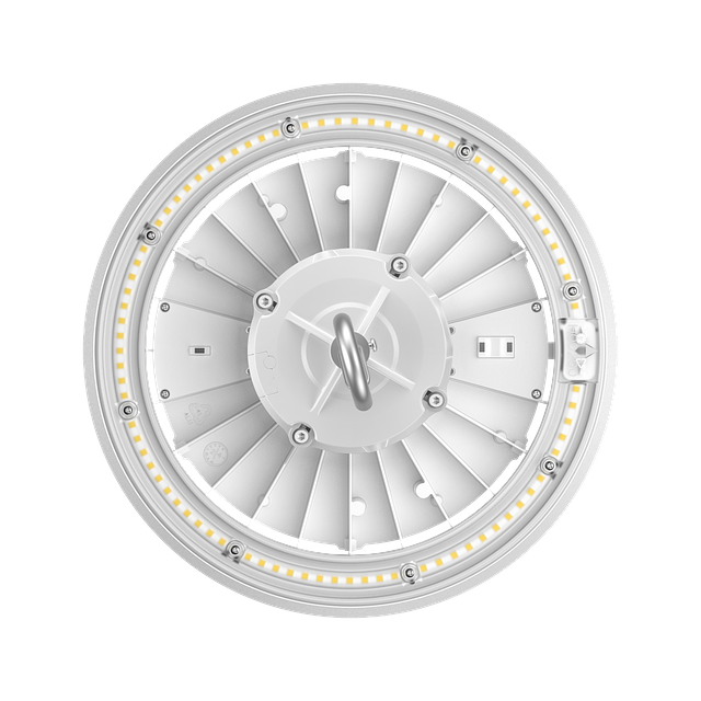 LL-RHBP_top view.png