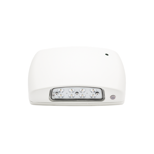 Exit Egress Pathway LED Light | Weatherway | Evenlite