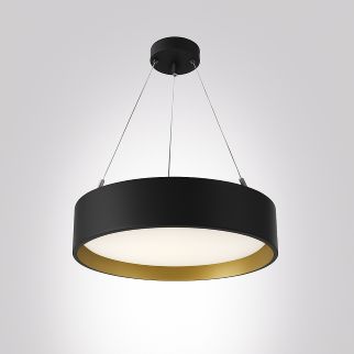 KAPAX Black and Gold web.jpg