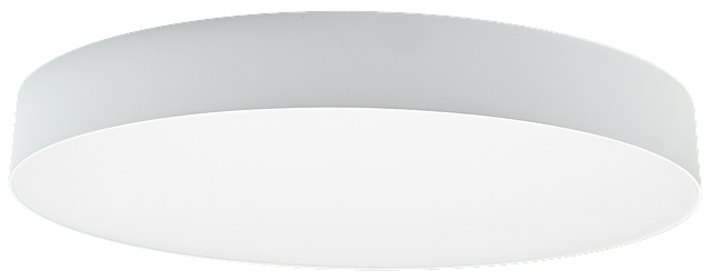 CL03-09-WH-2.png