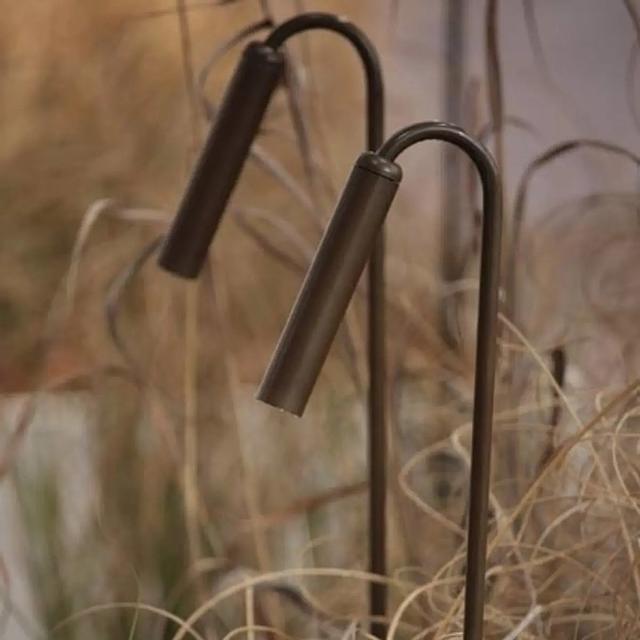 Dragonfly-Bullard-Bollards-1.jpg