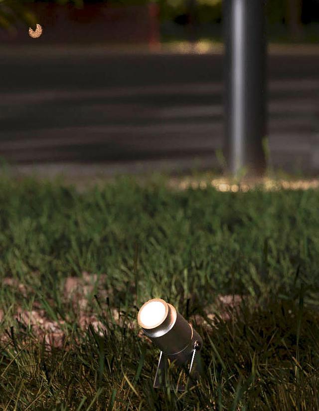 RAYZ_02_2.jpg