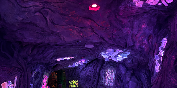 Meow Wolf Convergence Station 