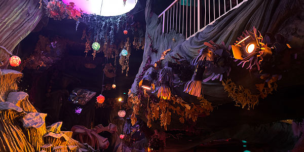 Meow Wolf Convergence Station 