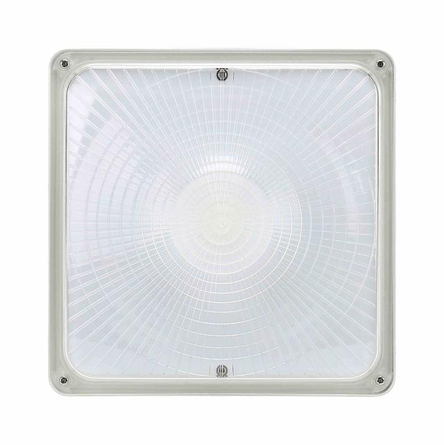LL-SCLP-white-front.jpg
