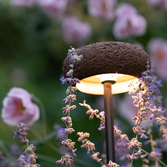 OOLITE-COLLECTION-WEB-2.jpg
