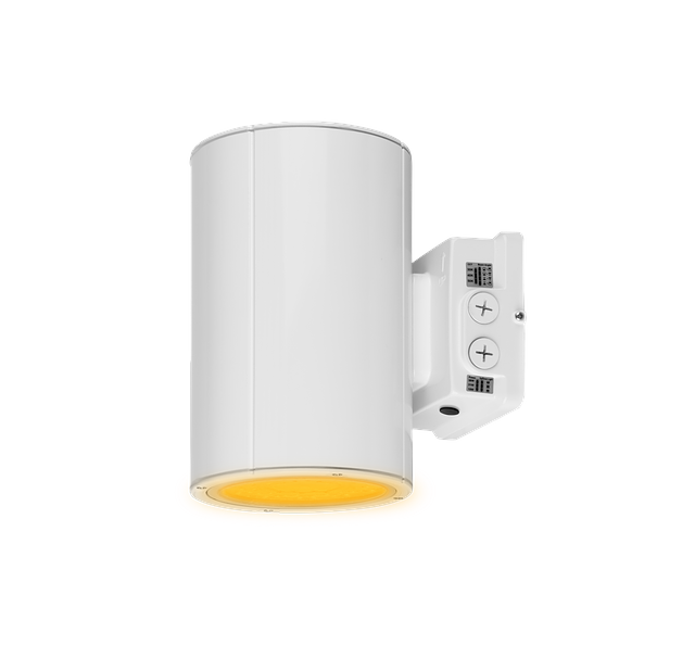 Amber CLA 6in WC.png