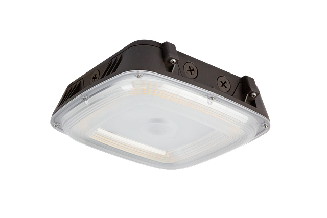 Image-Iso-Right Facing-CPSR_24043-21-April-2025.png