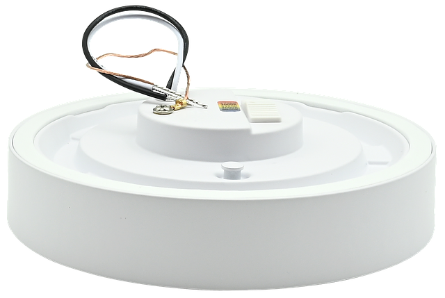 CL03-05-WH-5.png
