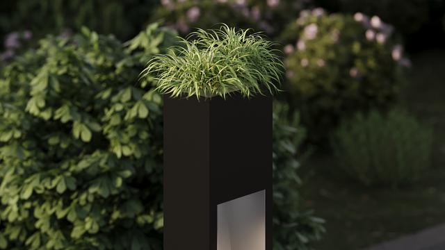 Omo with plants_5.jpg