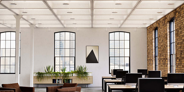 Polina Uplight Open Office