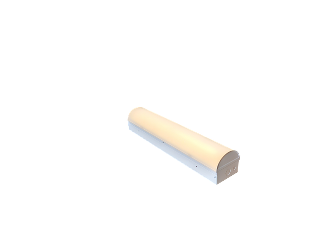 Image-Left Facing-Light on-SW-2FT-7-Nov-023.png