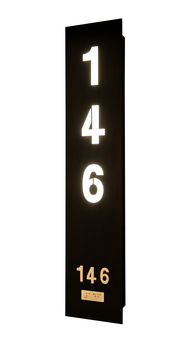 DSC00599.png