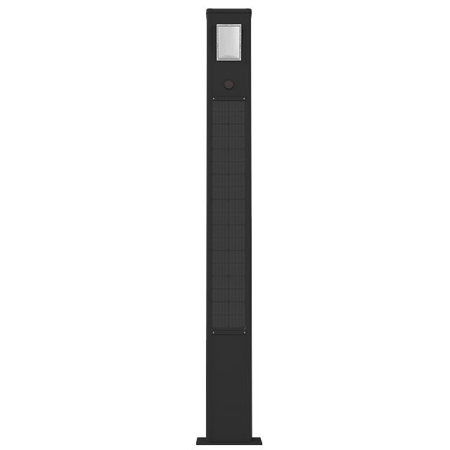 TOTEM 20-FACE-1.png