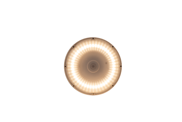 Image-CPRSR-1110863L-3CCT-BRZ-Bottom View-light on-19-May-2025.png