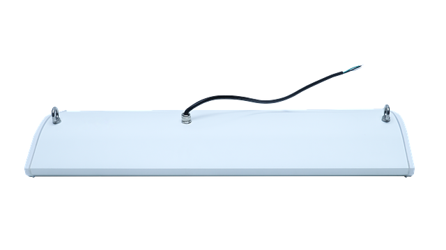 3ft (1).png