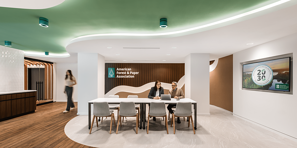 American Forest & Paper Association Offices | Fluxwerx Portal Pendant & Recessed