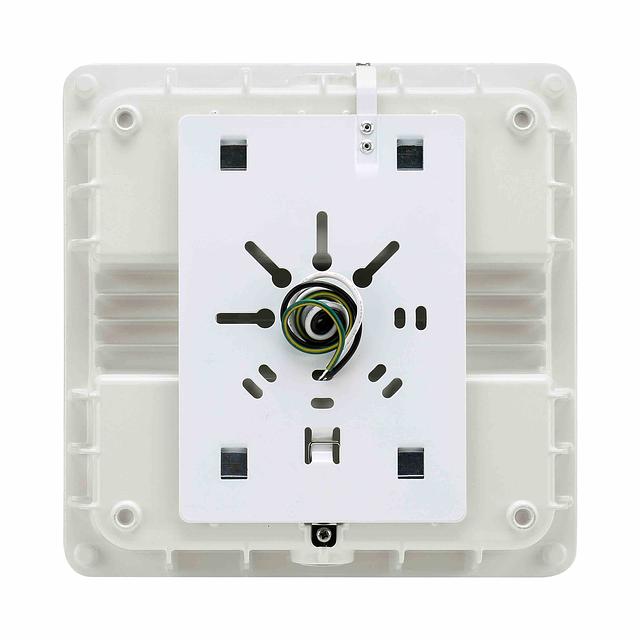 LL-SCLP-white-back.jpg