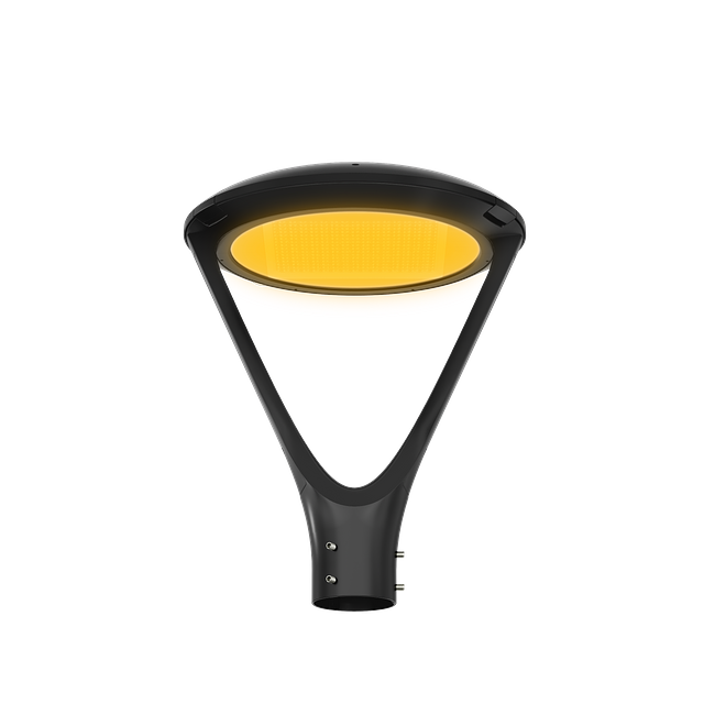 Amber PTA-PT BC.png