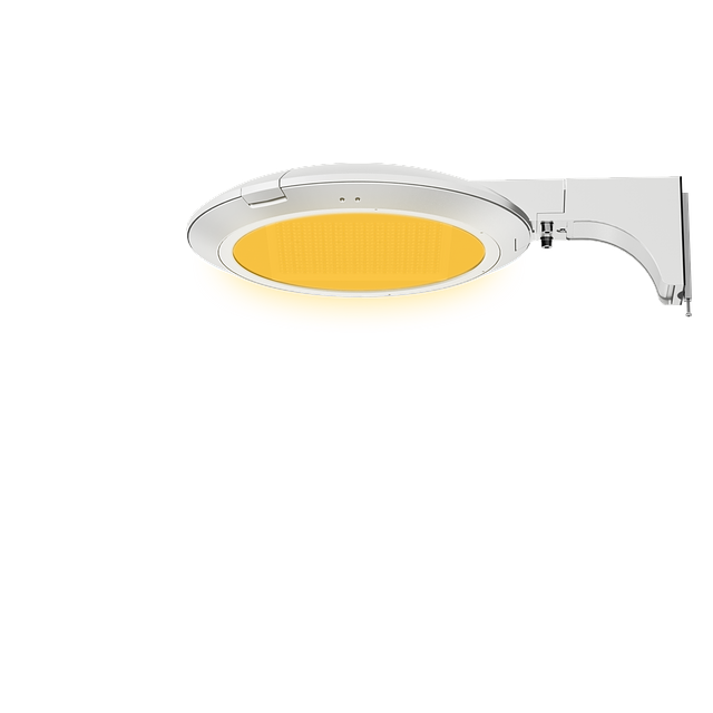 Amber PTA-PA WC.png