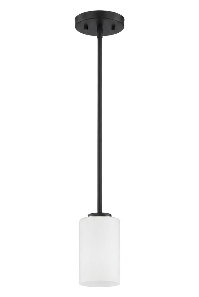 BCB-PD-1-F-BL.jpg