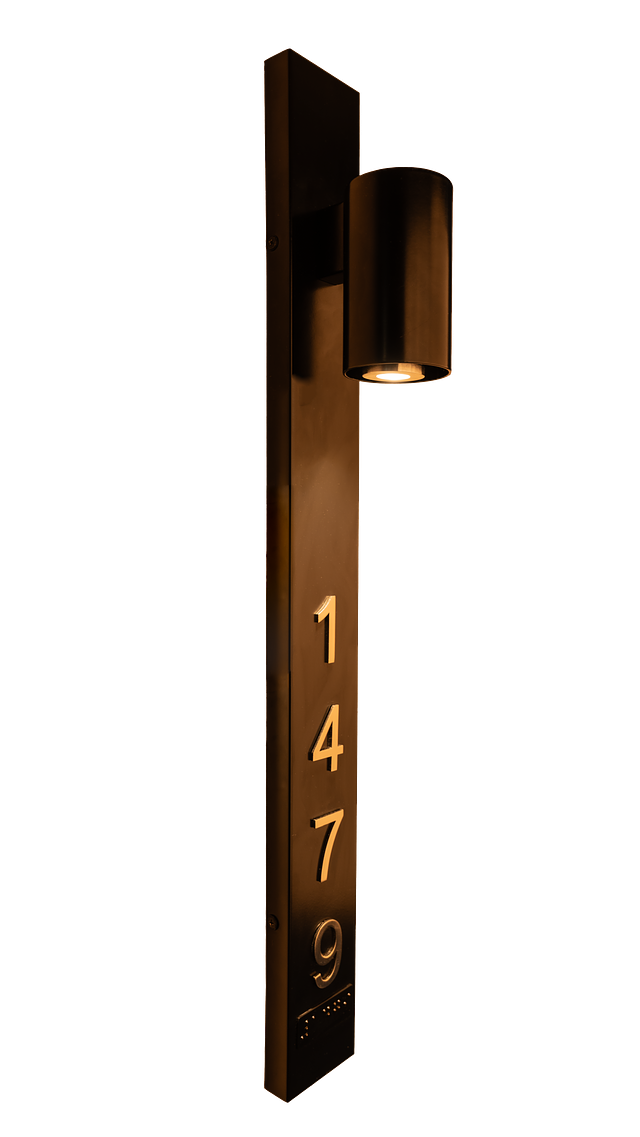 DSC00646.png