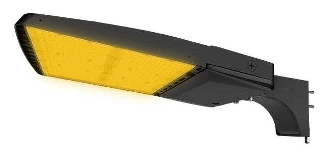 ALH Amber L BC Front Side - PA.png