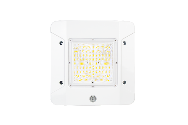 Image-Bottom View-CPHL_24054-13-Feb-2025.png