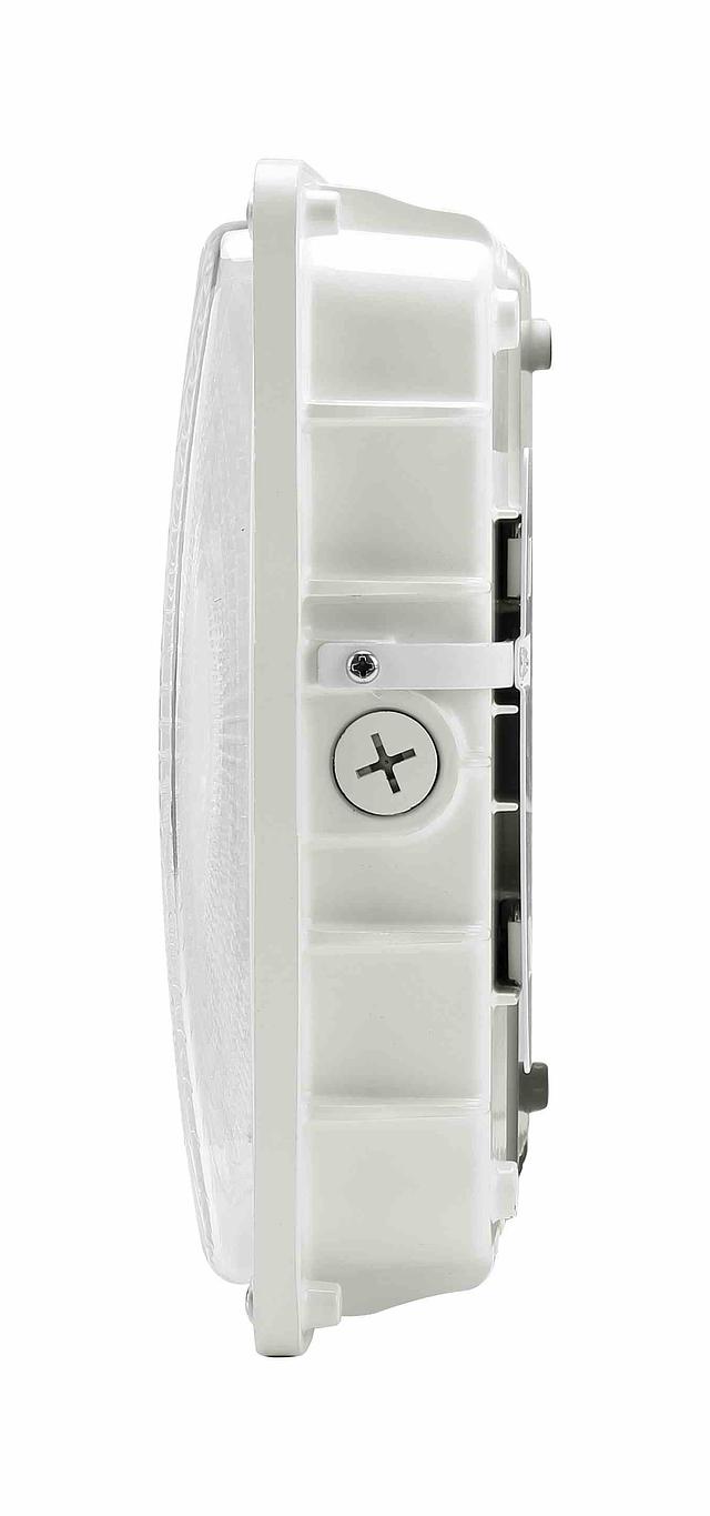 LL-SCLP-white-side2.jpg