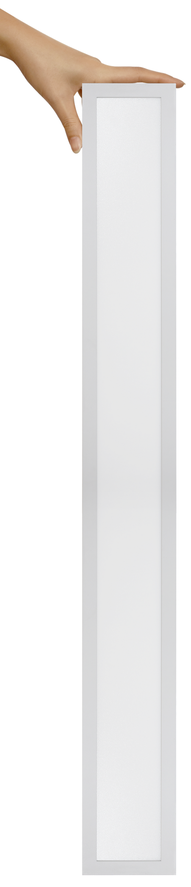 LS44-2.png