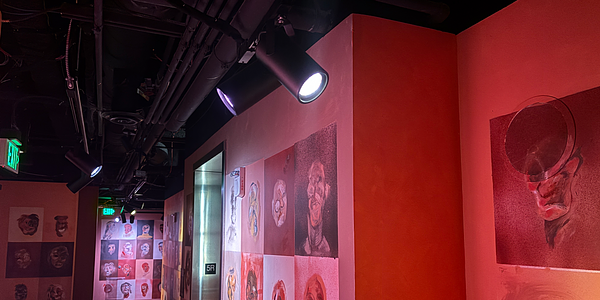 Meow Wolf Convergence Station 