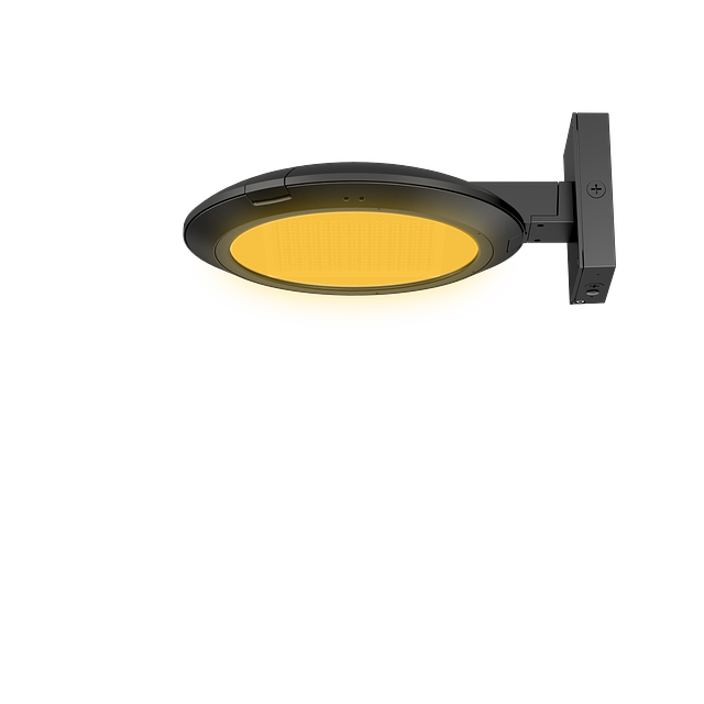 Amber PTA-WM BC.png