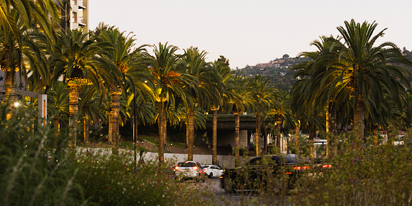 Universal Studios Hollywood