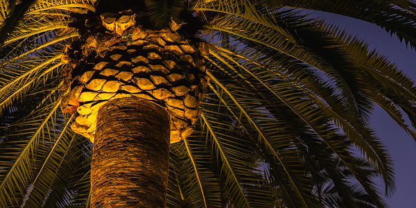 Universal Studios Hollywood