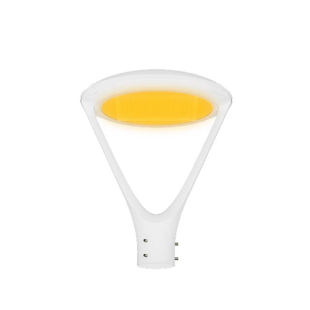 Amber PTA-PT WC.png