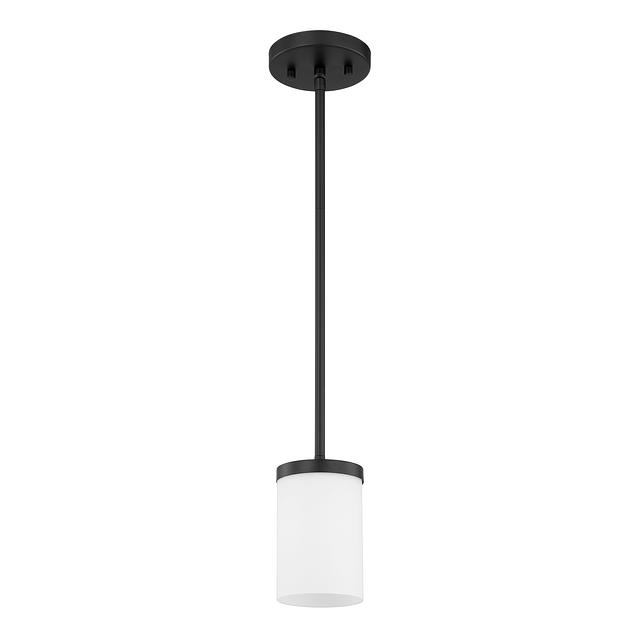 BCD-PD-1-F-BL.jpg