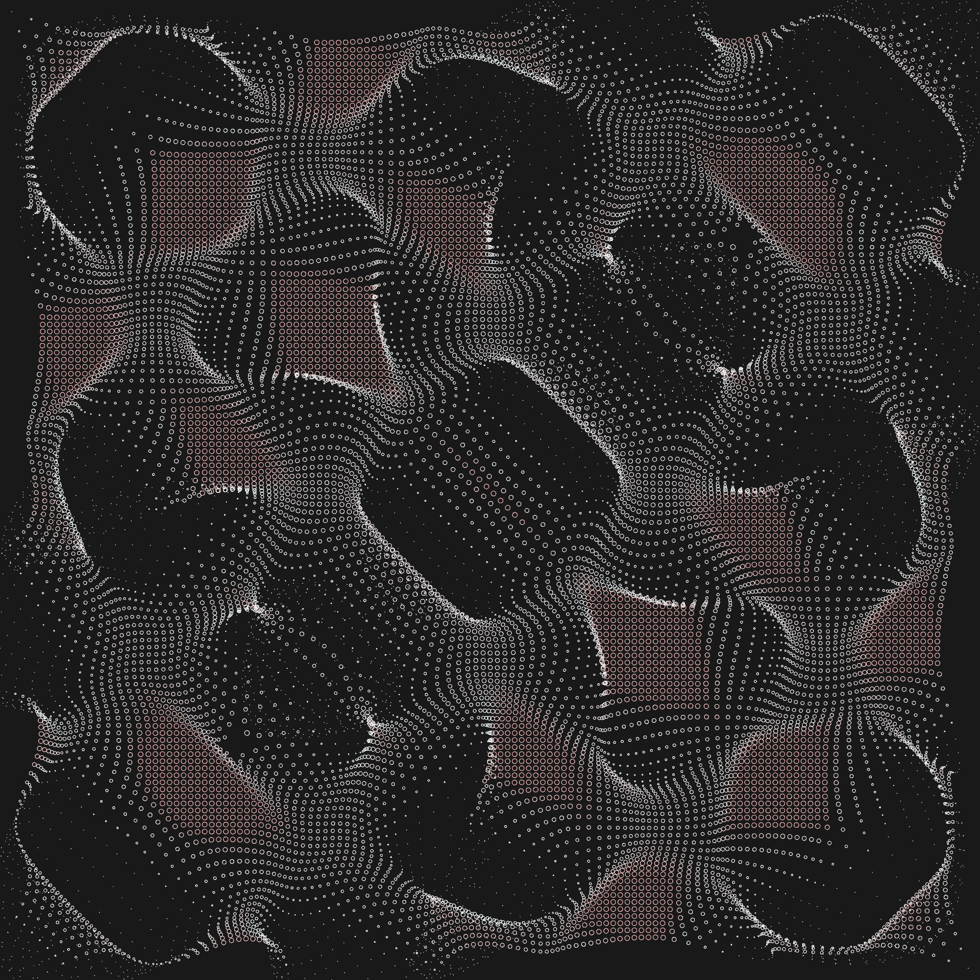 displacement_2-ko35b.png