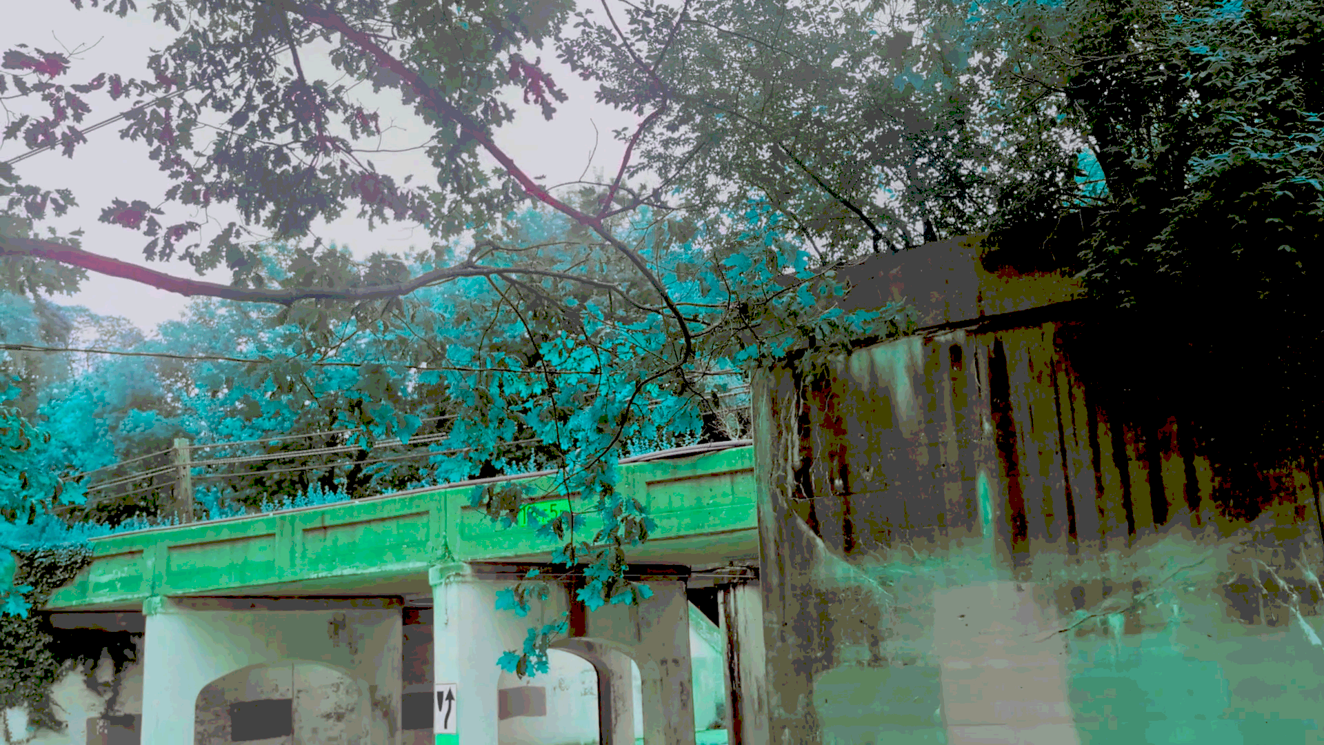 video-2132e.png