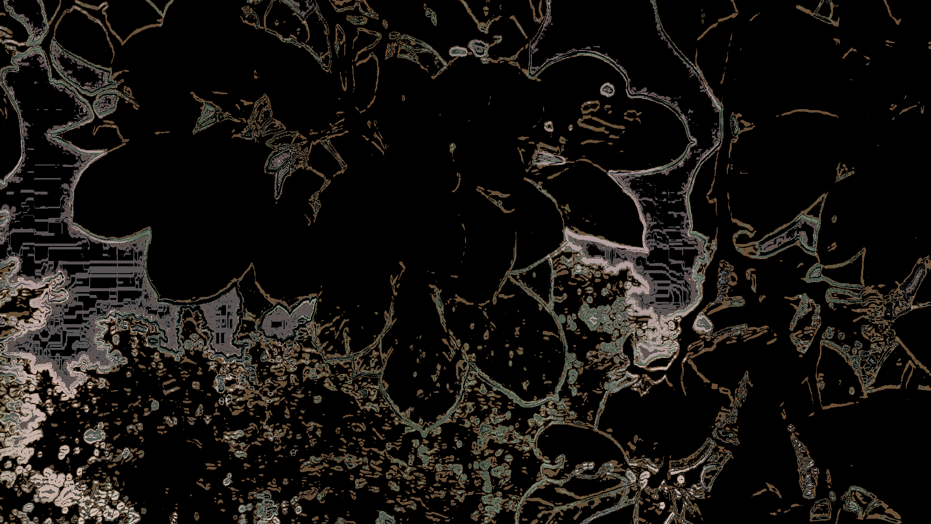 video-94mqz.png