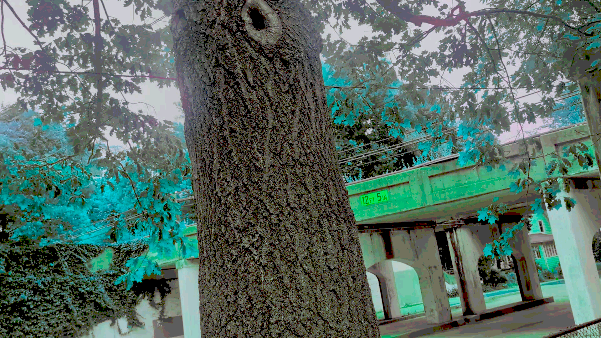 video-f6da9.png