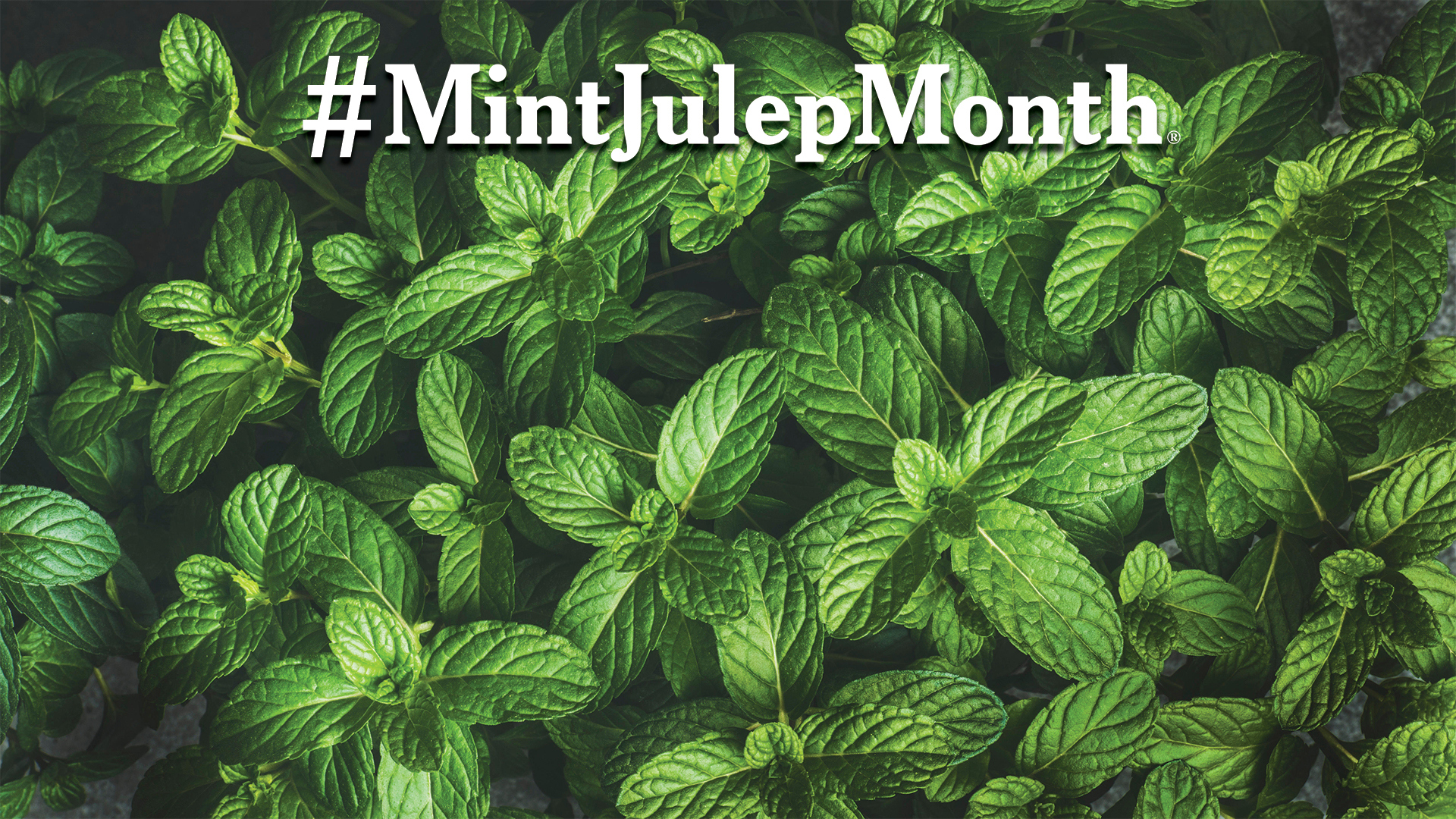 Virtual Meeting Backgrounds Official Travel Source