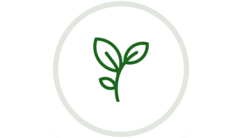 Vine HR